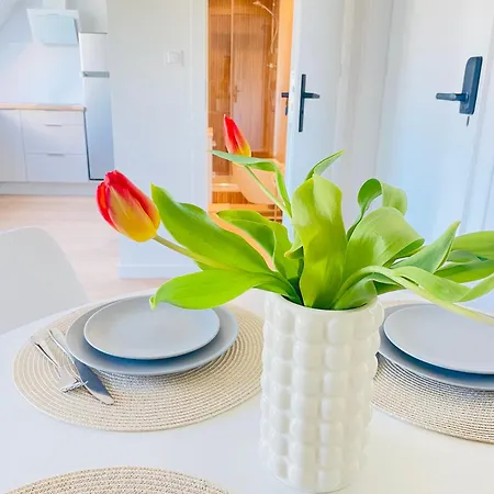 Modern 5 Apartament *