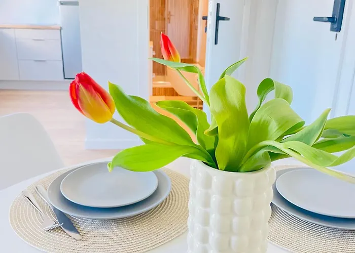 Modern 5 Appartement *